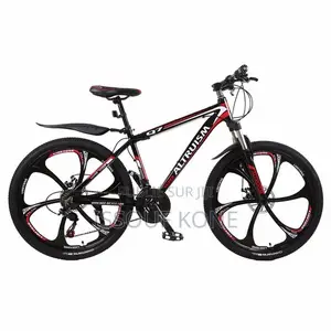 Vélo Électrique