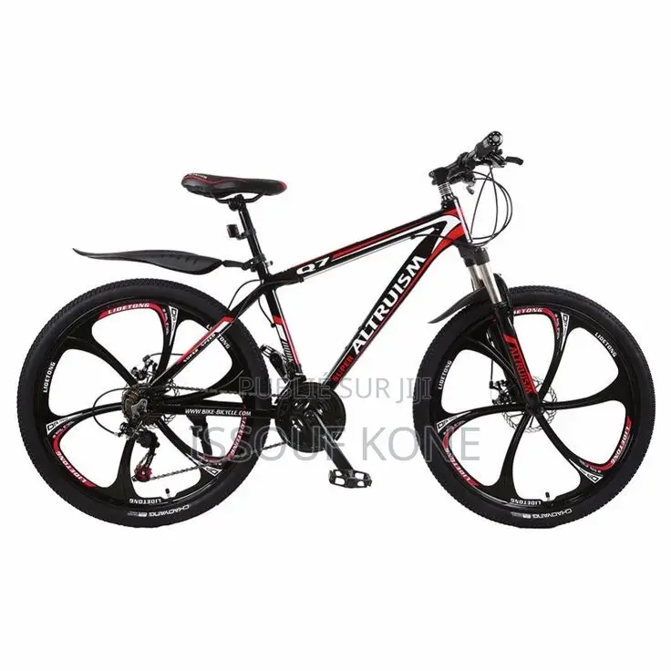 Vélo Électrique