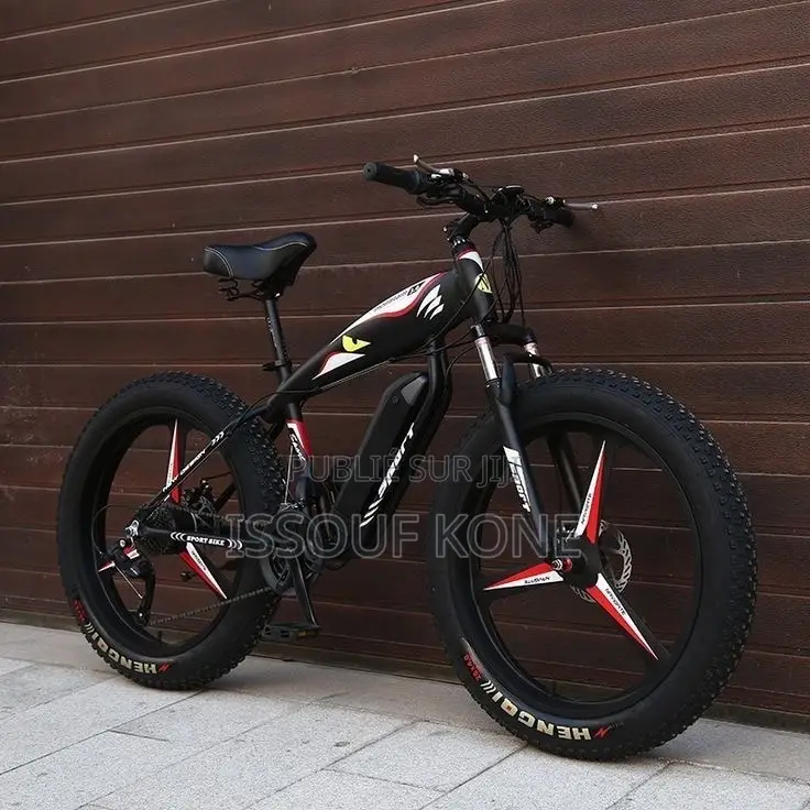 Vélo Électrique