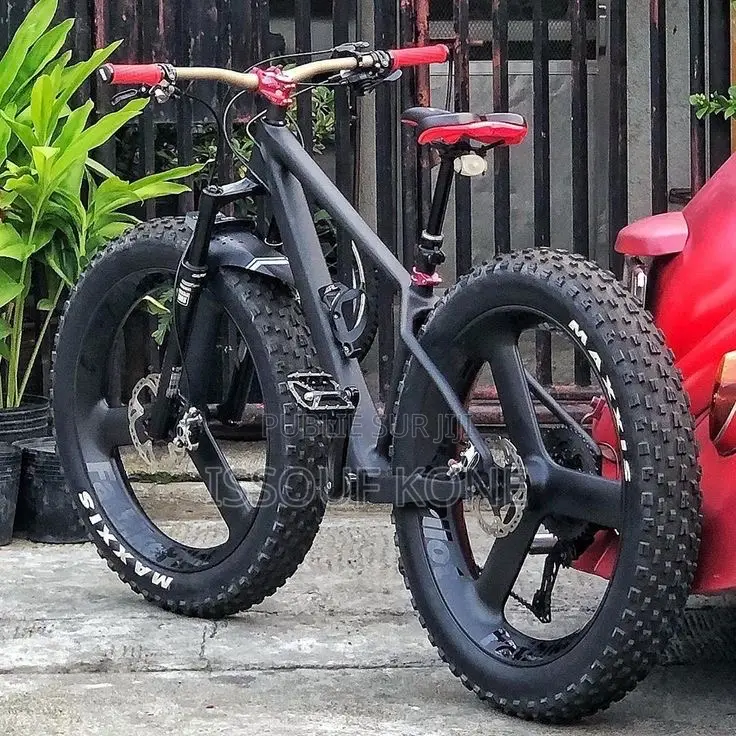 Vélo Électrique