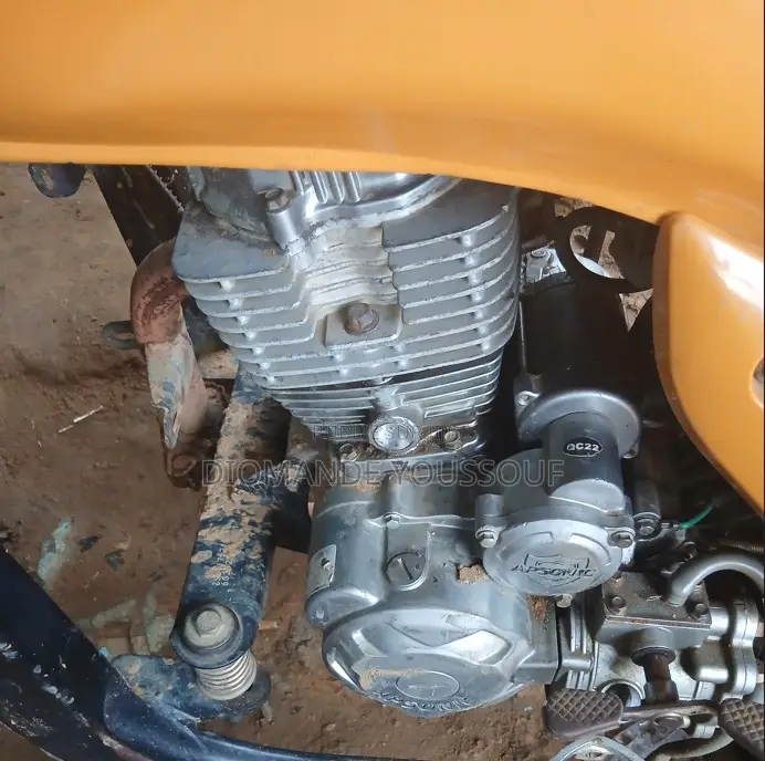 Apsonic AP150ZK 2021 Jaune