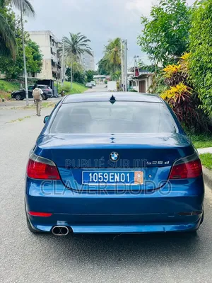 BMW 5 Series 2005 Bleu