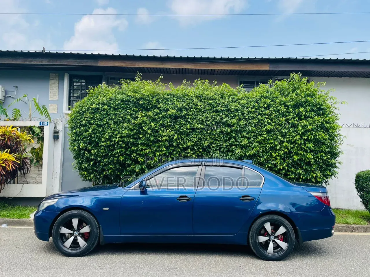 BMW 5 Series 2005 Bleu