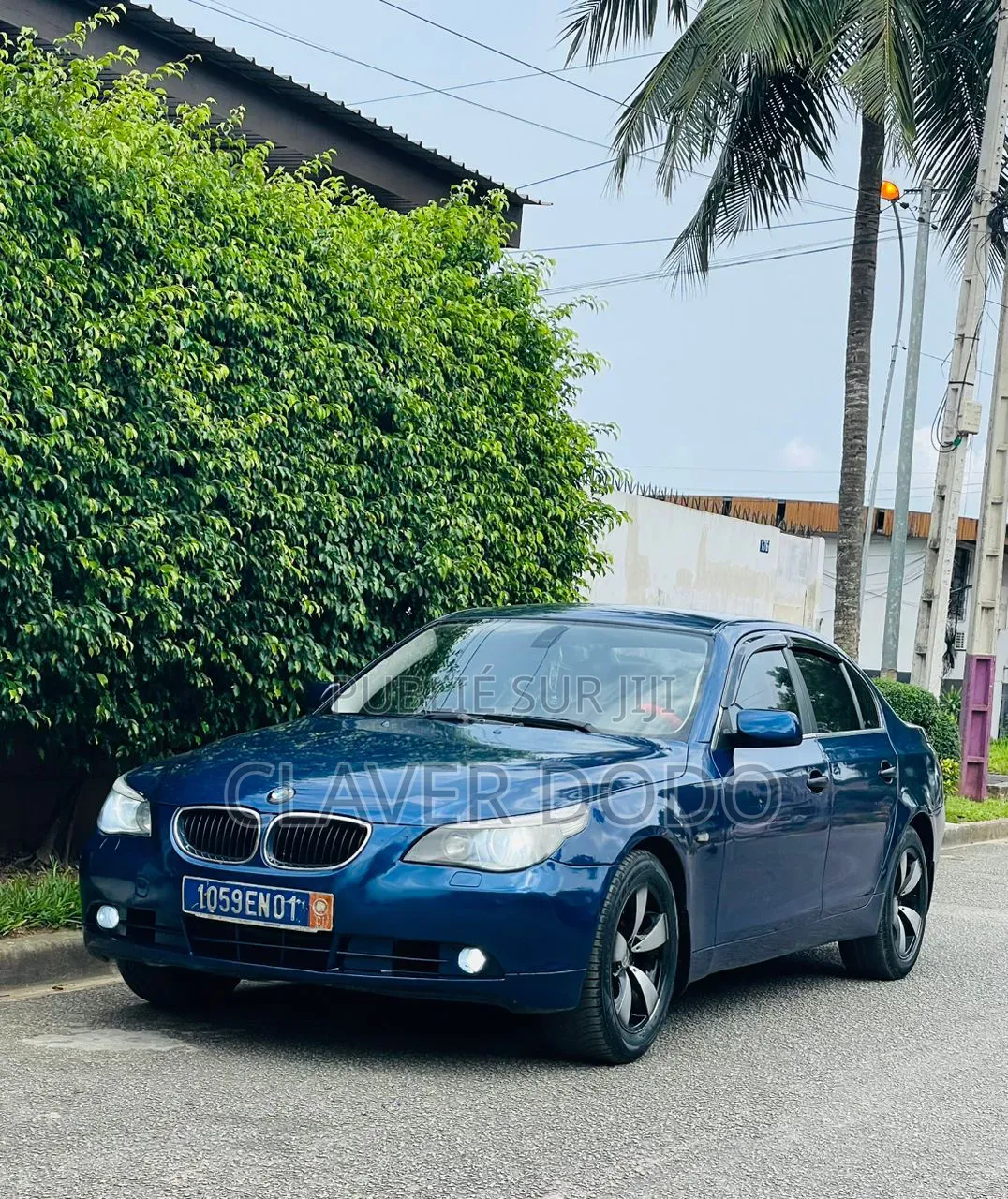 BMW 5 Series 2005 Bleu