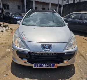 Peugeot 307 2005 Gris