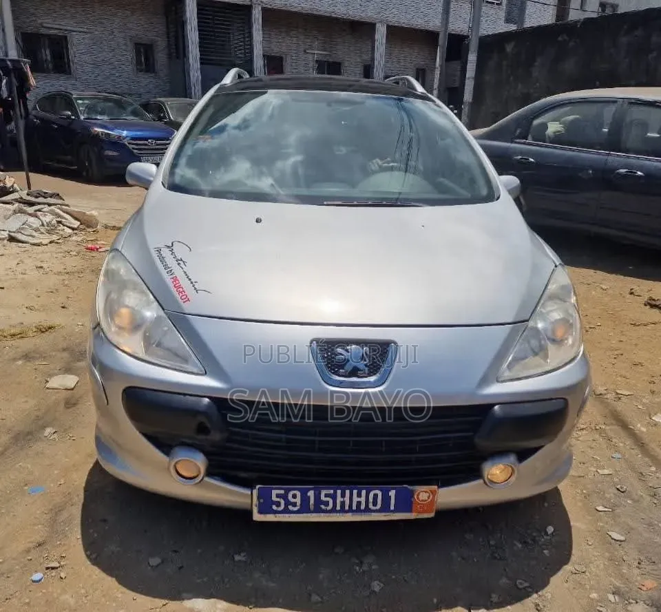 Peugeot 307 2005 Gris