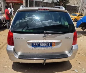 Peugeot 307 2005 Gris