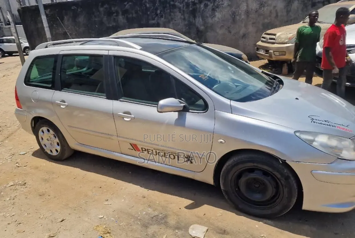 Peugeot 307 2005 Gris