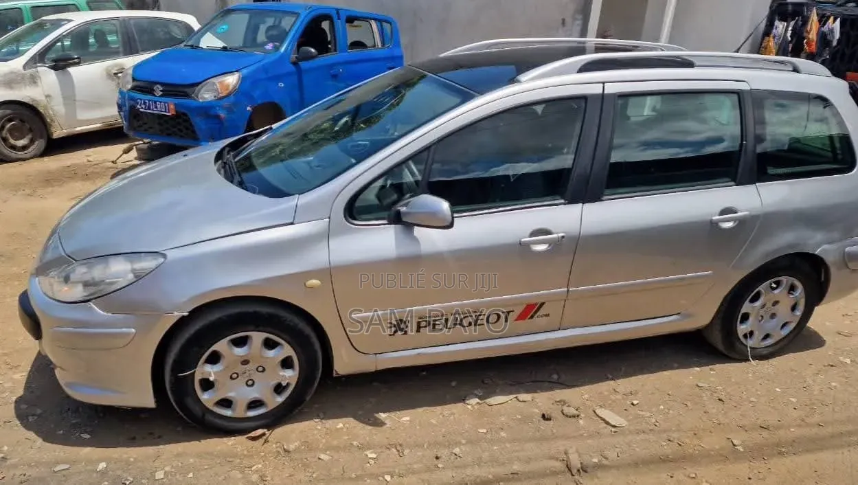 Peugeot 307 2005 Gris