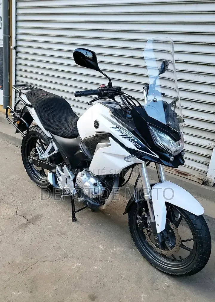 Nouveau Honda CB 2022 Blanc