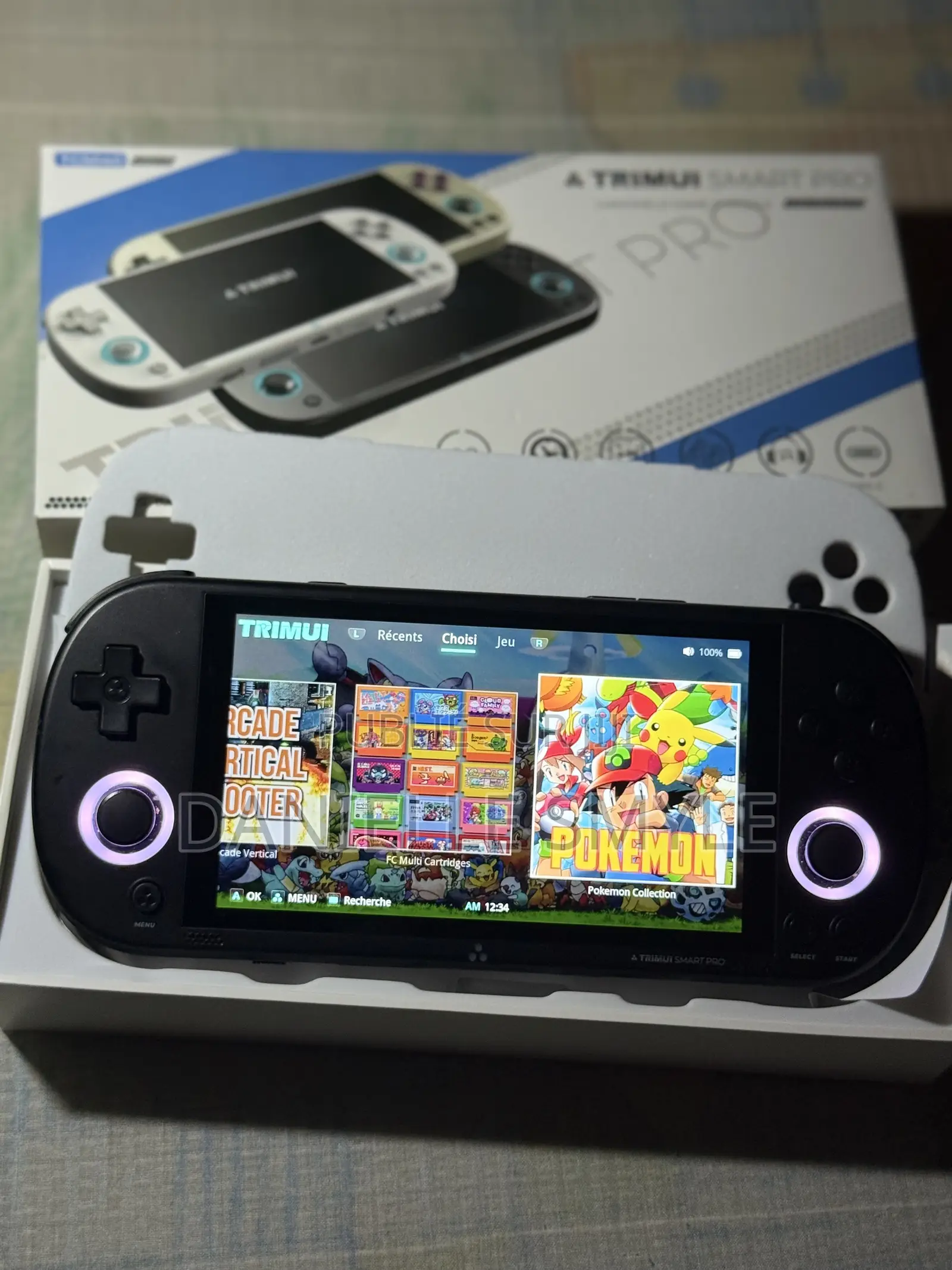 Trimui Smart Pro