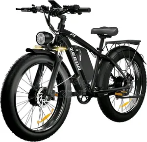 Vélo Électrique