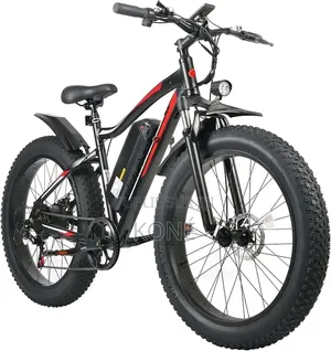 Vélo Électrique