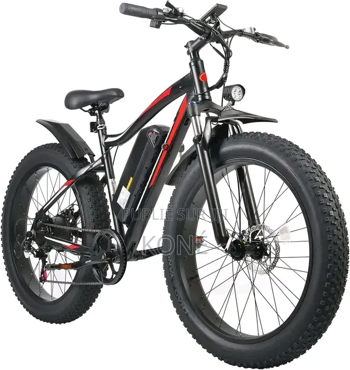 Vélo Électrique