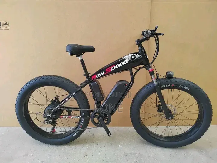 Vélo Électrique