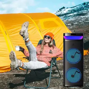 Haut-Parleur Bluetooth Karaoké Zqs10202 – Double 10" Led
