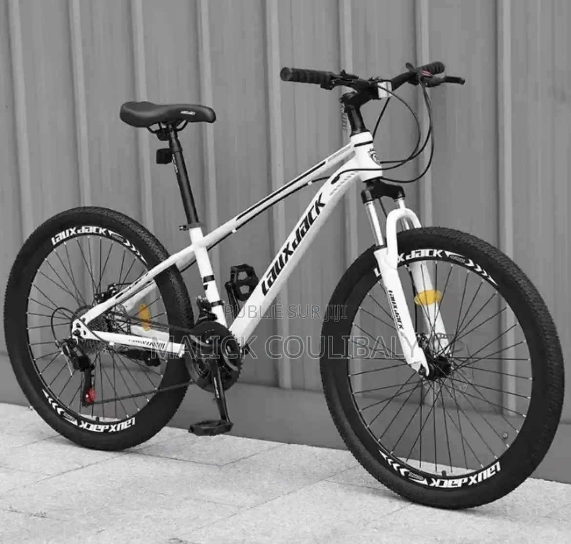 Vélo VTT Pour Adultes
