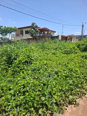 Terrain 300m2 À Bingerville-Akandjé