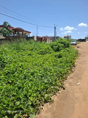 Terrain 300m2 À Bingerville-Akandjé