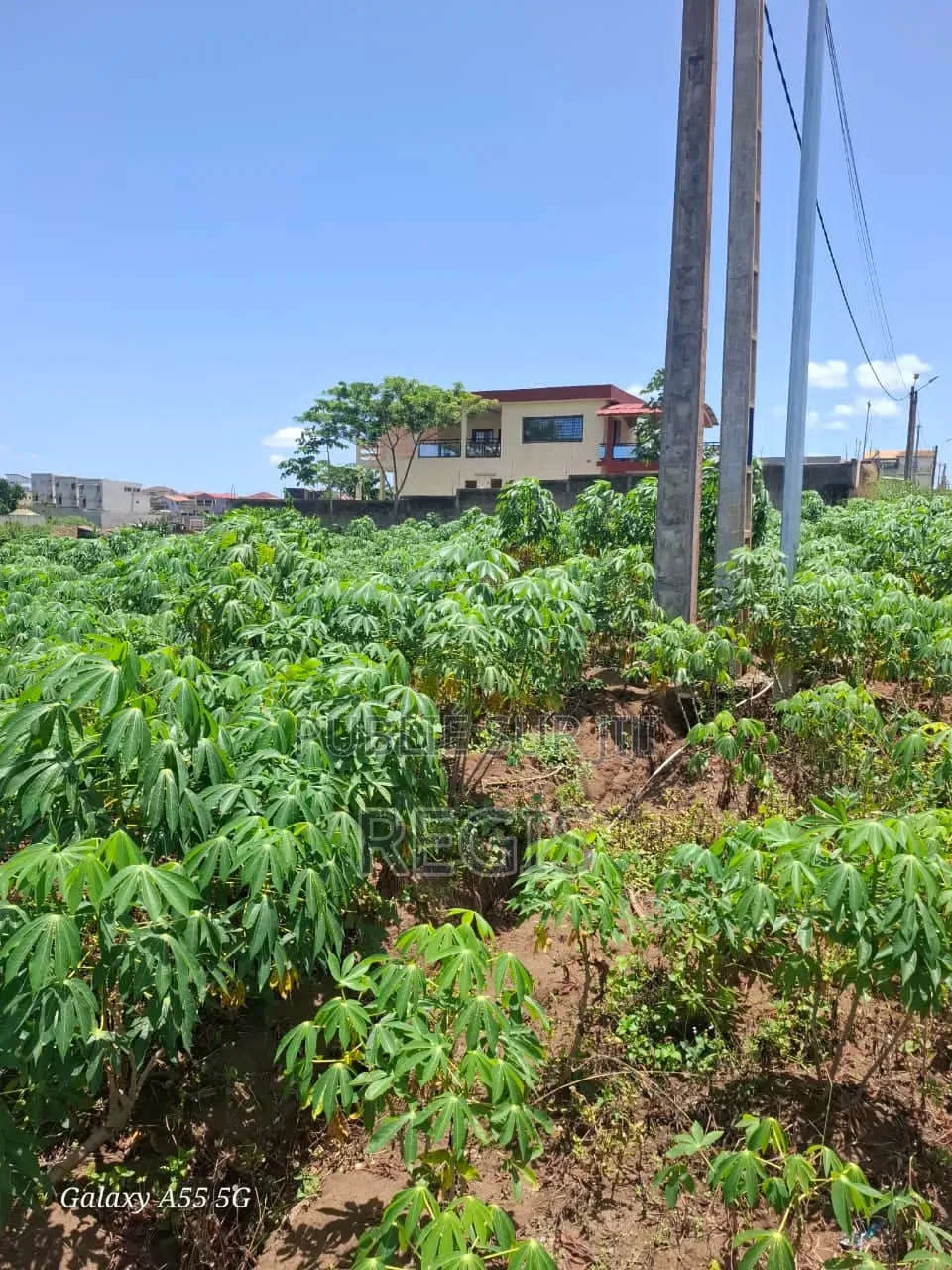 Terrain 300m2 À Bingerville-Akandjé
