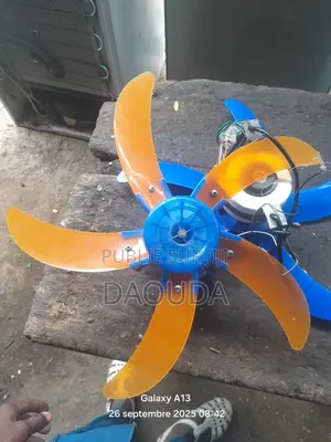 Ventilateur Plafond