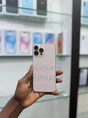Nouveau Apple iPhone 13 Pro Max 256 GB Gris