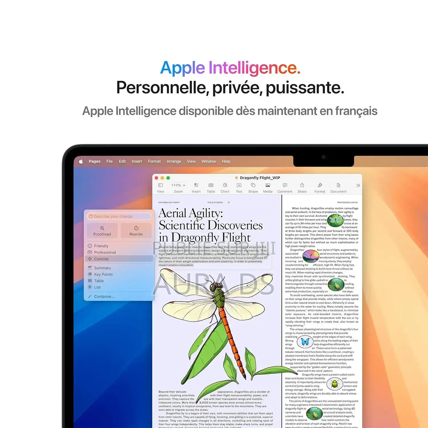 Nouveau Apple MacBook Air 2025 M4 13-inch 24GB Apple M4 SSD 512GB