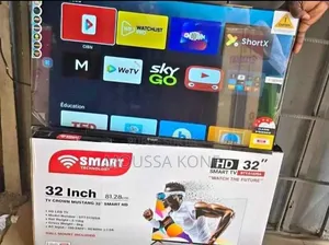 Television