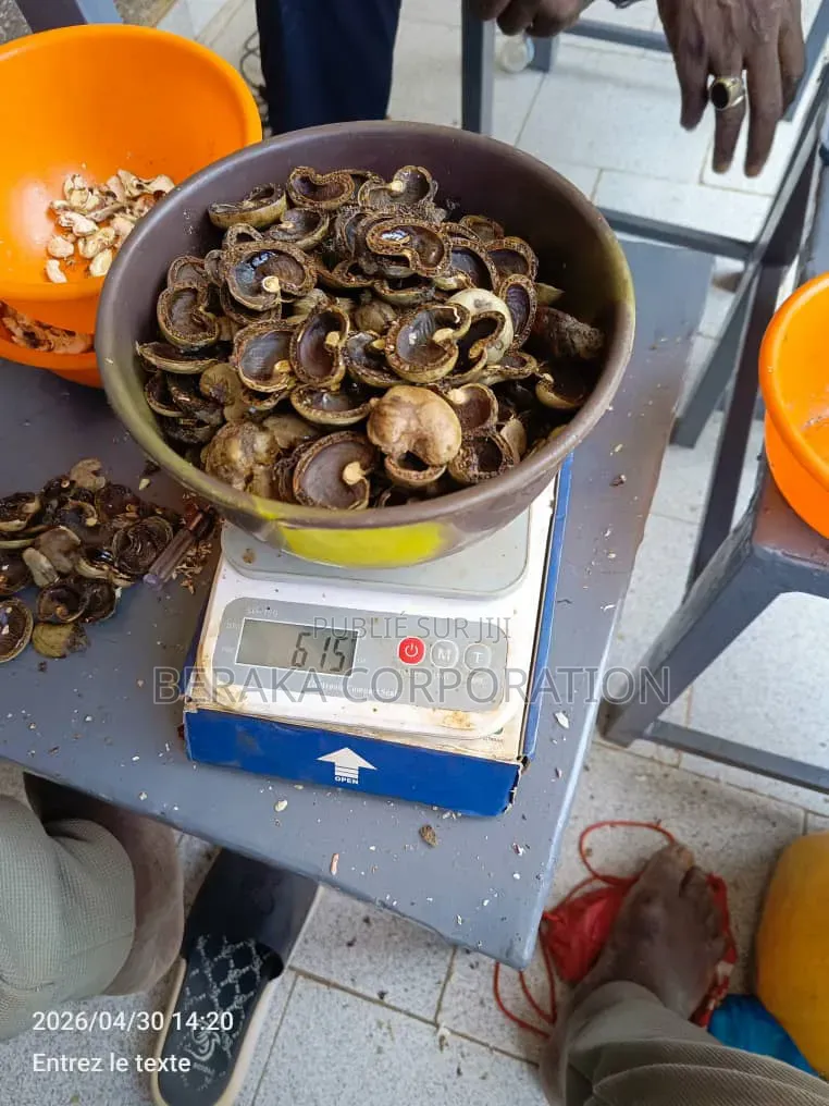700 Tonnes d'Anarcade Qualité Kor 49+