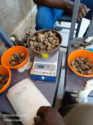 700 Tonnes d'Anarcade Qualité Kor 49+