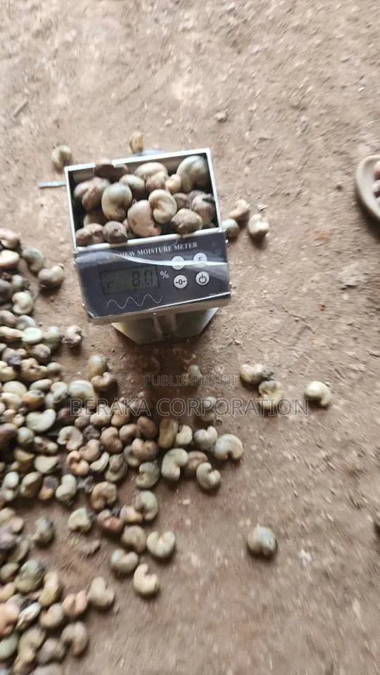 700 Tonnes d'Anarcade Qualité Kor 49+