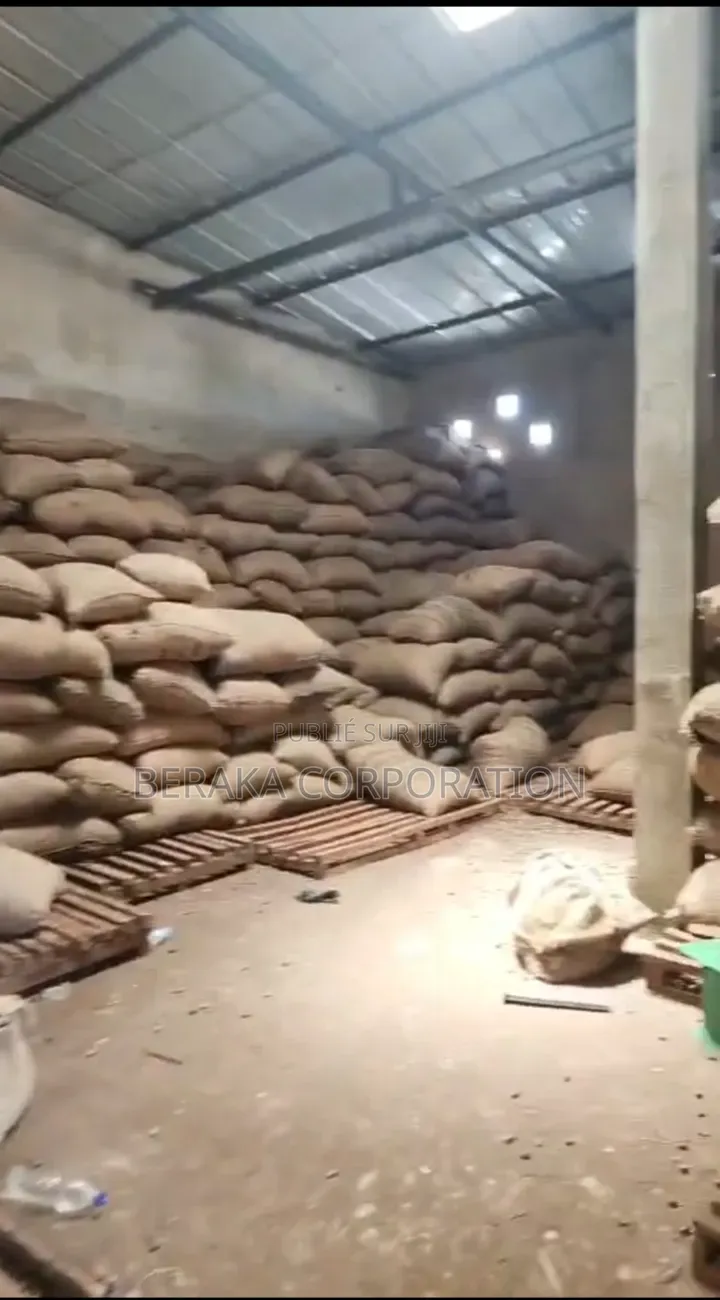 700 Tonnes d'Anarcade Qualité Kor 49+