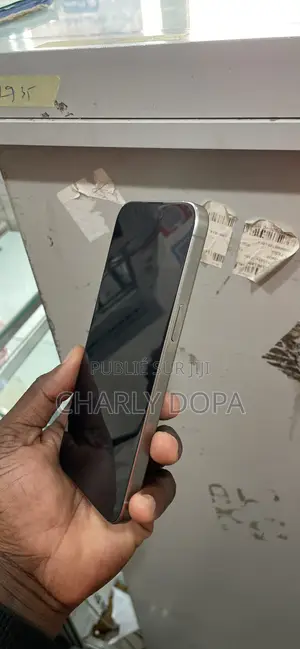 Apple iPhone 15 Pro Max 256 GB Argenté