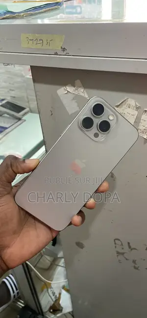 Apple iPhone 15 Pro Max 256 GB Argenté