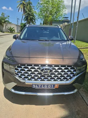 Hyundai Santa Fe Calligraphy 2022 Marron