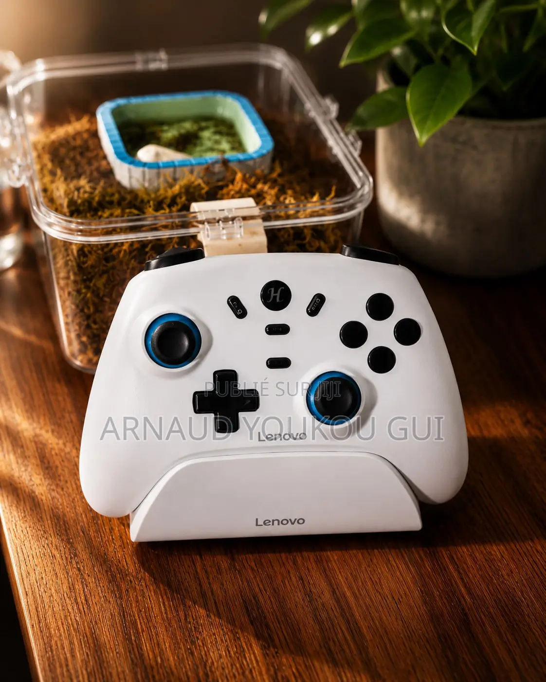 Manette De Jeux