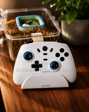 Manette De Jeux
