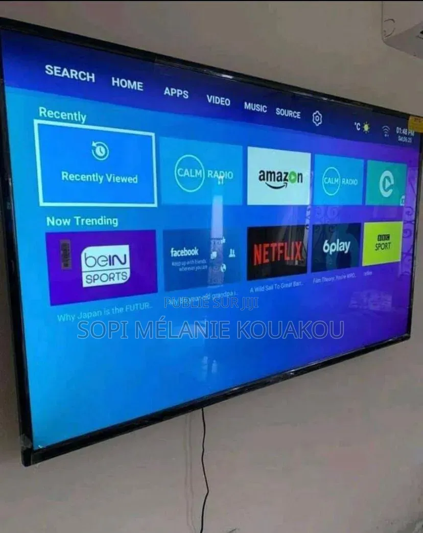 Écrans Plasma 80"