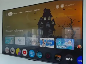 Écrans Plasma 80"