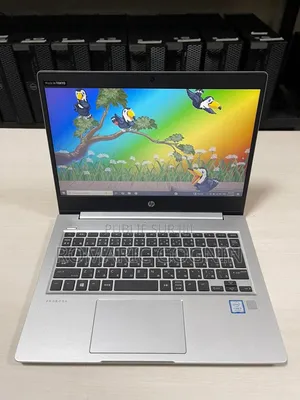 Nouveau HP ProBook 430 G6 8GB Intel Core i5 SSD 256GB