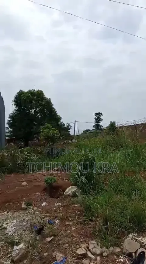 Terrain 600m2 Yamoussoukro Kami Au Dos De Ll’Eglise Catholique
