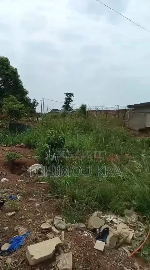Terrain 600m2 Yamoussoukro Kami Au Dos De Ll’Eglise Catholique