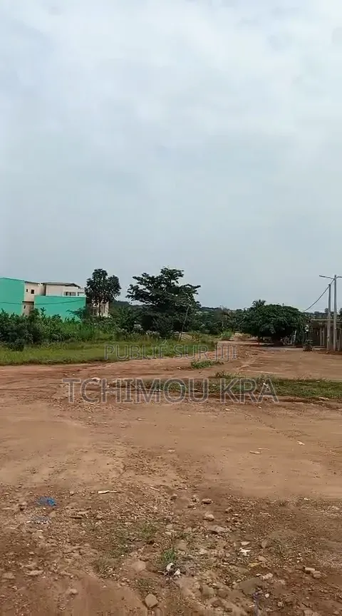 Terrain 600m2 Yamoussoukro Kami Au Dos De Ll’Eglise Catholique
