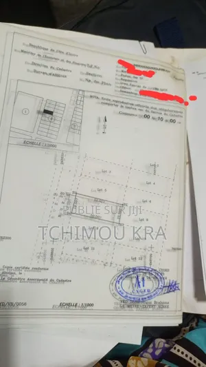 Vente Terrain 1000m2 Yamoussoukro Kami