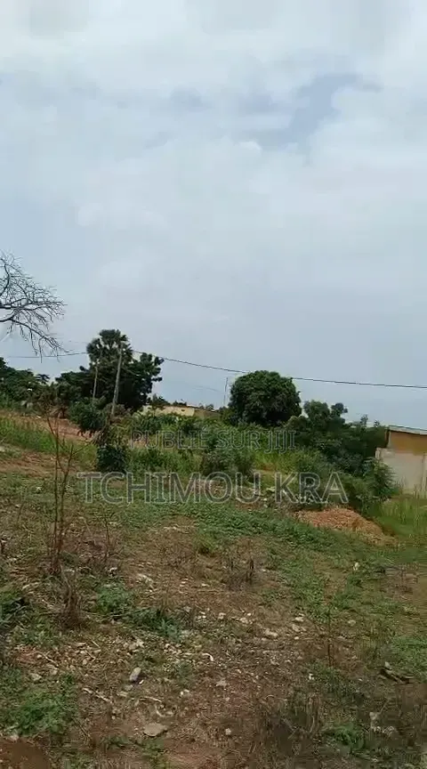Vente Terrain 1000m2 Yamoussoukro Kami