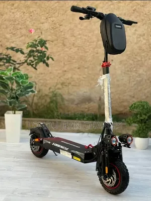 Trotinette Electrique 45kh en Promo Stock Limité