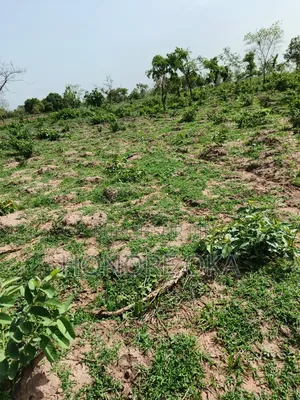 Terrain Approuvé en Vente À Bouaké