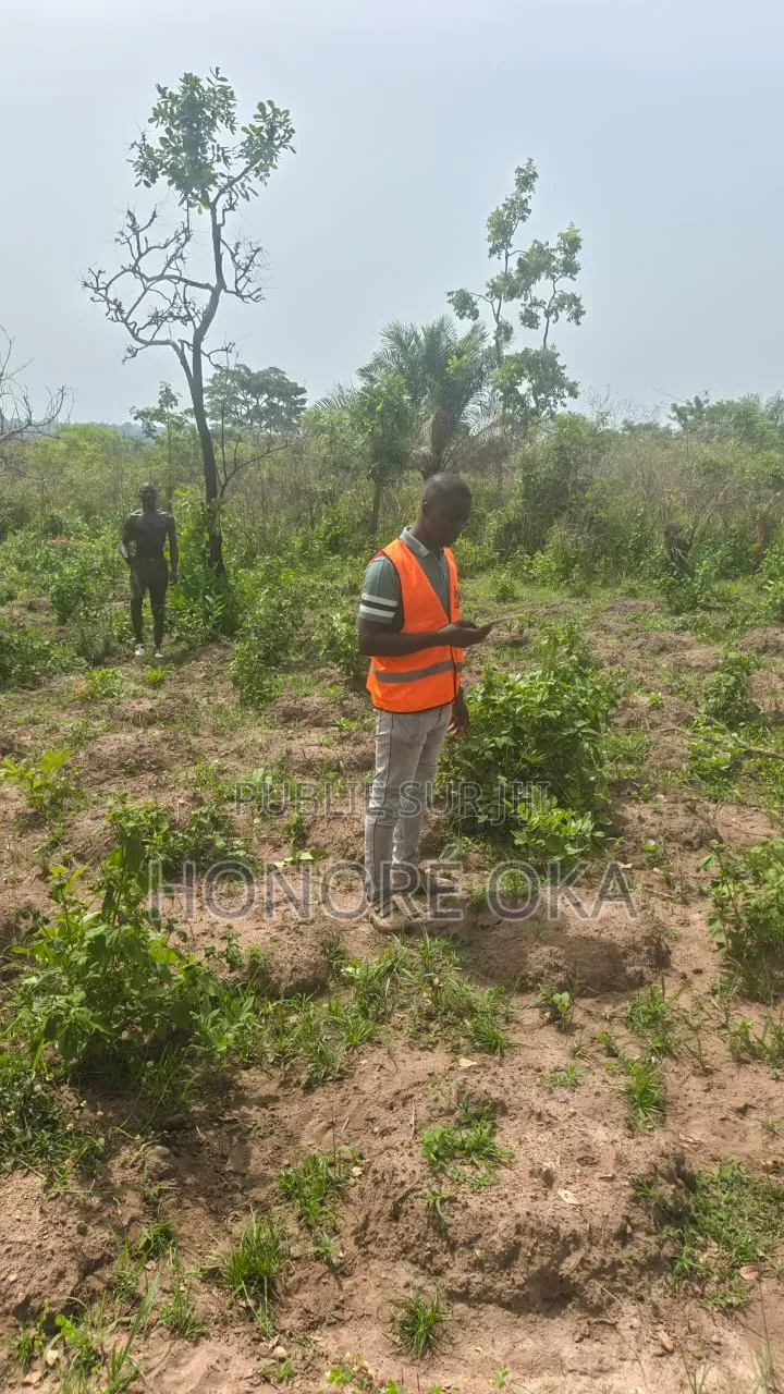 Terrain Approuvé en Vente À Bouaké