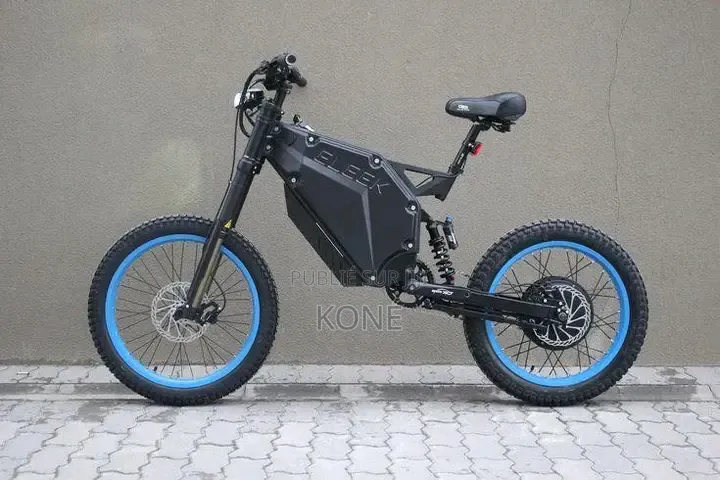 Vélo Électrique