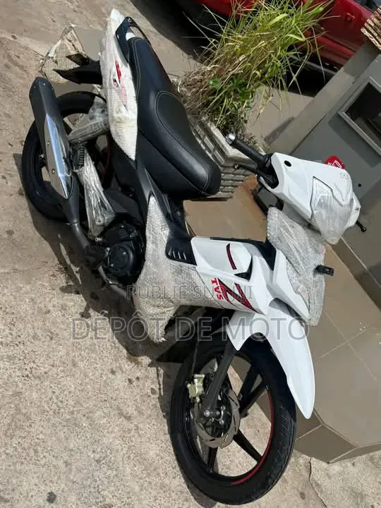 Nouveau TVS Rockz 125 2024 Blanc